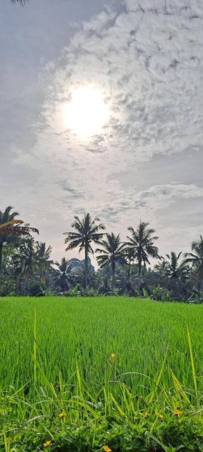 Galang Hari Villa Ubud Exterior foto
