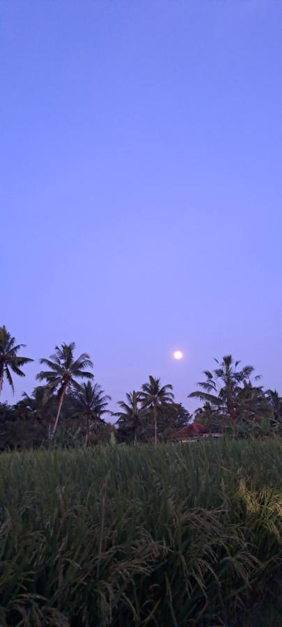 Galang Hari Villa Ubud Exterior foto