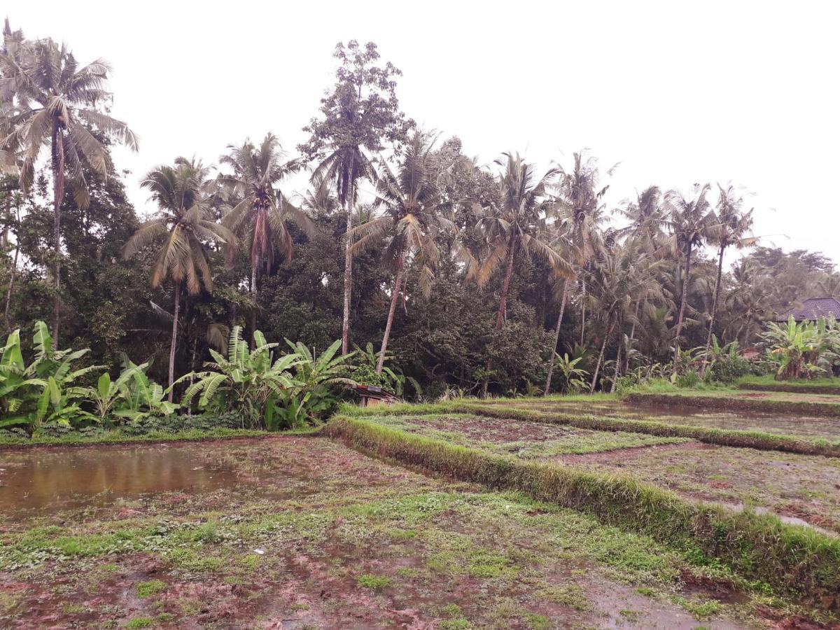 Galang Hari Villa Ubud Exterior foto